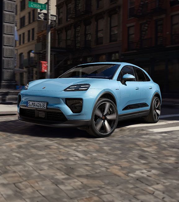 Macan